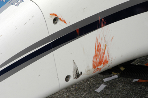 Paint Marks on Paul Tracy's Nose