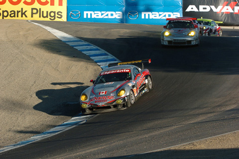 Panoz Esperante GT2 Leading GT Cars in Corkscrew