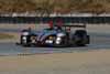 Oreca FLM09 LMPC Driven by Scott Tucker, Christophe Bouchut, and Mark Wilkins in Action Thumbnail