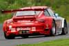 Porsche 911 RSR GT2 Driven by Johannes van Overbeek and Seth Neiman in Action Thumbnail