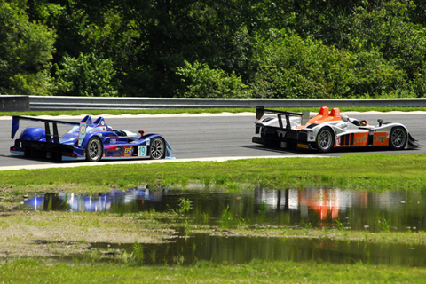 Two Prototypes Are Reflected in Flooded Grass