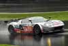 Doran Ford GT-R GT Driven by David Murry and Andrea Robertson in Action Thumbnail