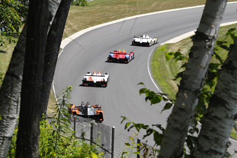 Prototypes Going Through Downhill Framed by Trees