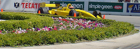 Alex Yoong  in Action Behind Landscaping