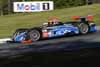 Oreca FLM09 Driven by Ricardo Gonzalez and Luis Diaz in Action Thumbnail