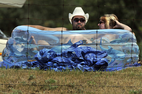 Two Fans Sitting in Kiddie Pool Keeping Cool