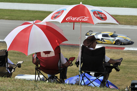 Fans Watching a Race Car Go By