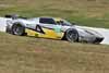 Doran Ford GT Driven by David Murry and Anthony Lazzaro in Action Thumbnail