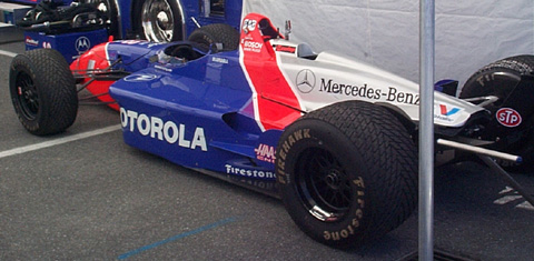 Blundell's Reynard in Paddock