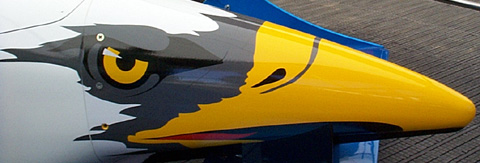 Eagle Nosecone Right