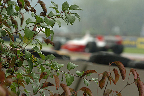 Fall Foliage w/Car Going By