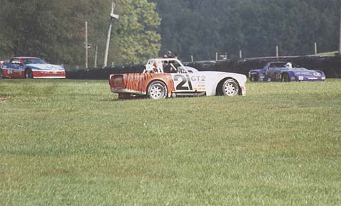 GT2 Tiger Off in Grass