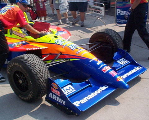 Gordon in Paddock