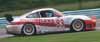 Winning GT Class Porsche in Action Thumbnail