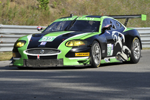 Jaguar GT in Action Image