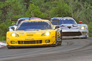 Corvette and Vipers in Action Image